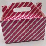 PARTY BOXES STRIPES DARK PINK